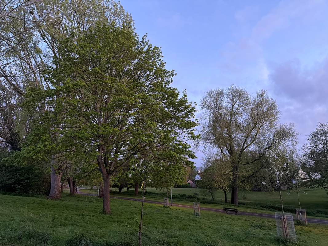 walking near me in Lyngford Park in spring