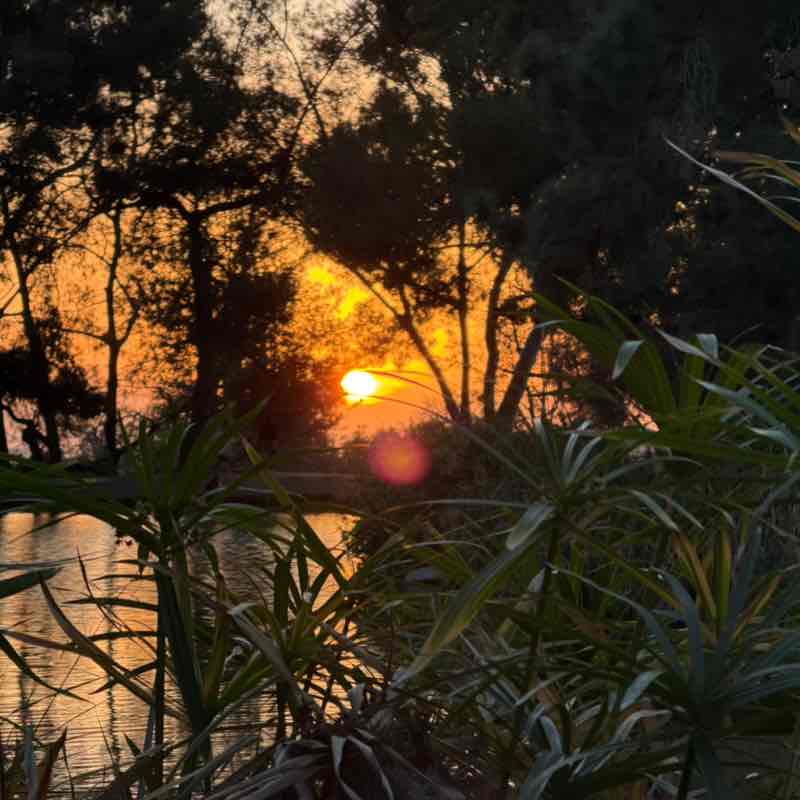 Spooky steppers Taylor post image