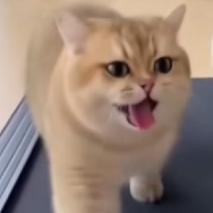 ABANG FADLILAH BIN ABANG ZAIDON icon