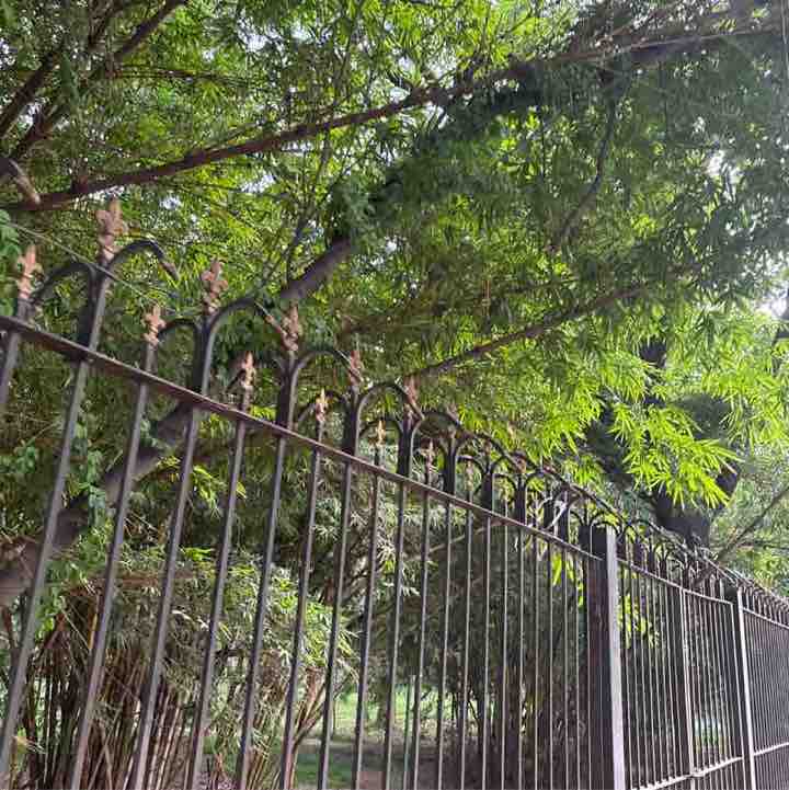 Srinag post 1