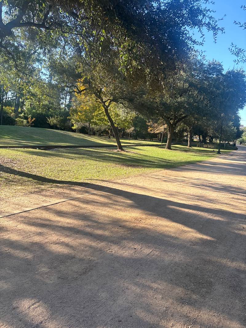 walking near me in Hermann Park in winter