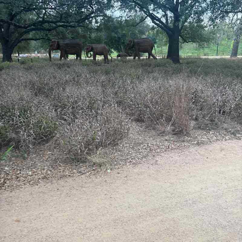 Doneshia Rhea post 1