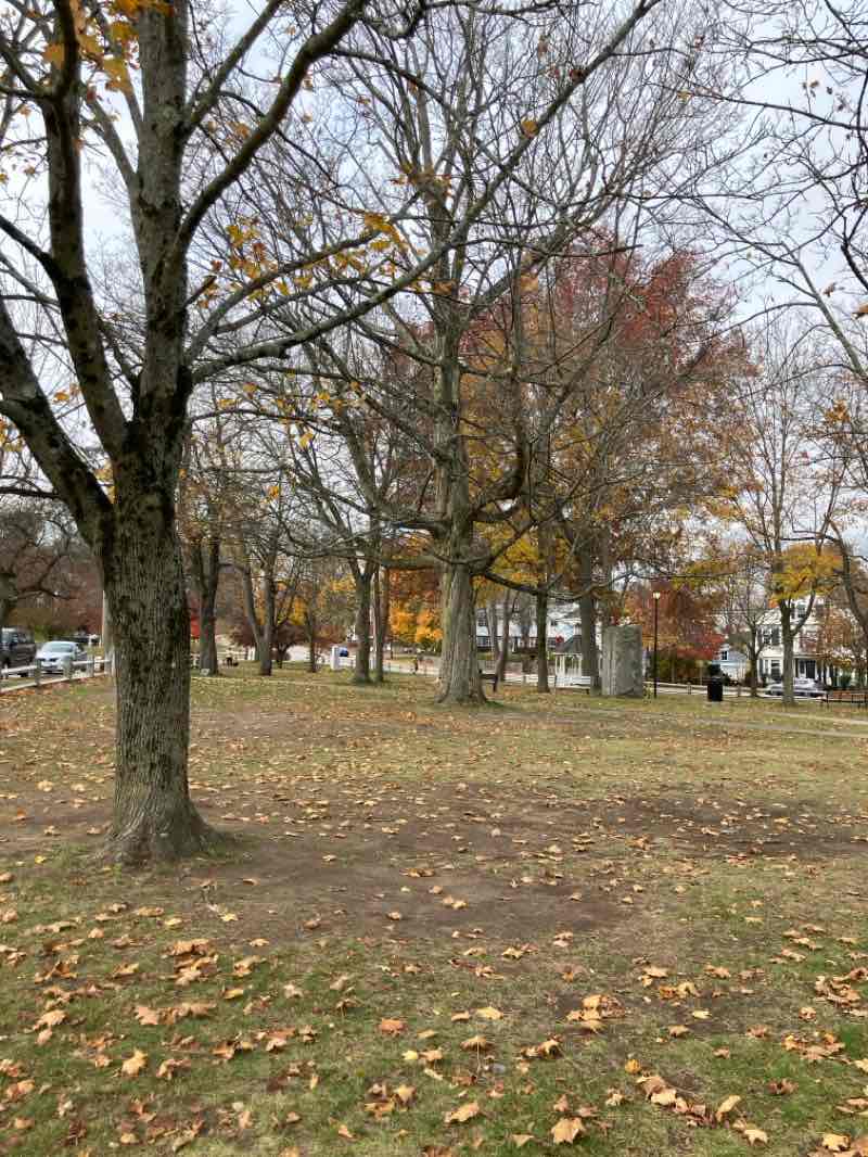 walking near me in Bradford Common in autumn