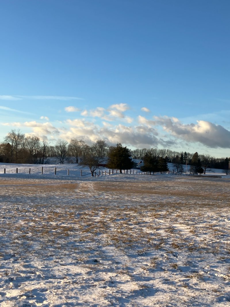 walking near me in Woodsom Farm North in winter