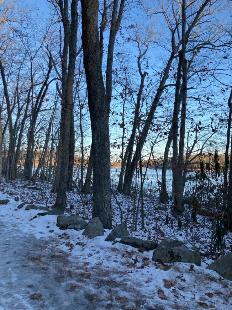 walking near me in Winnekenni Park in winter