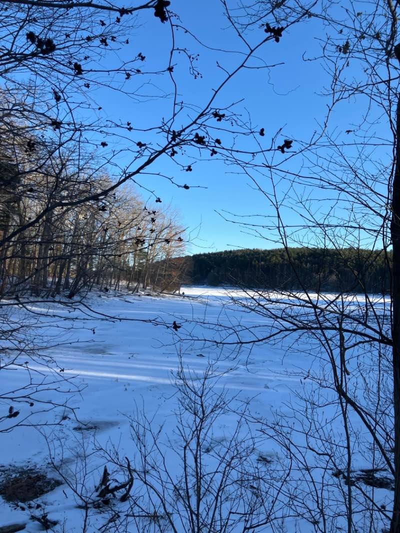 walking near me in Winnekenni Park in winter