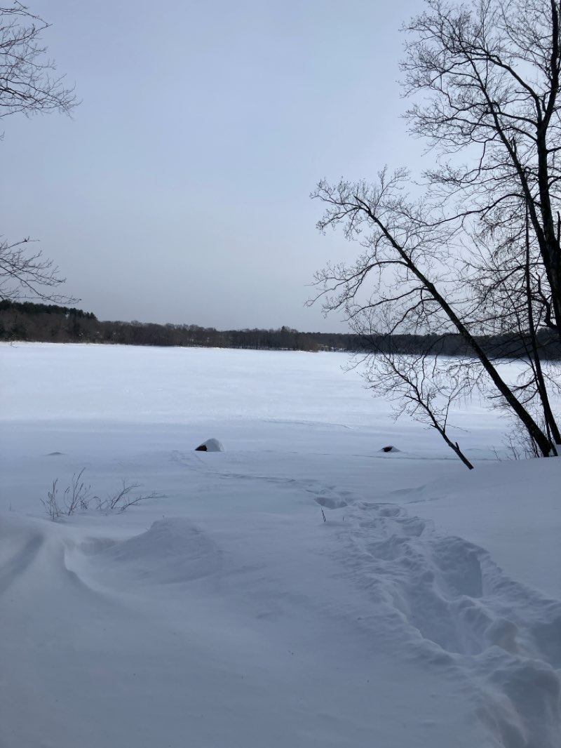 walking near me in Winnekenni Park in winter