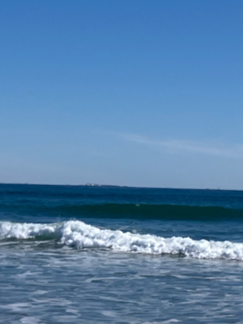 walking near me in Jenness State Beach in winter