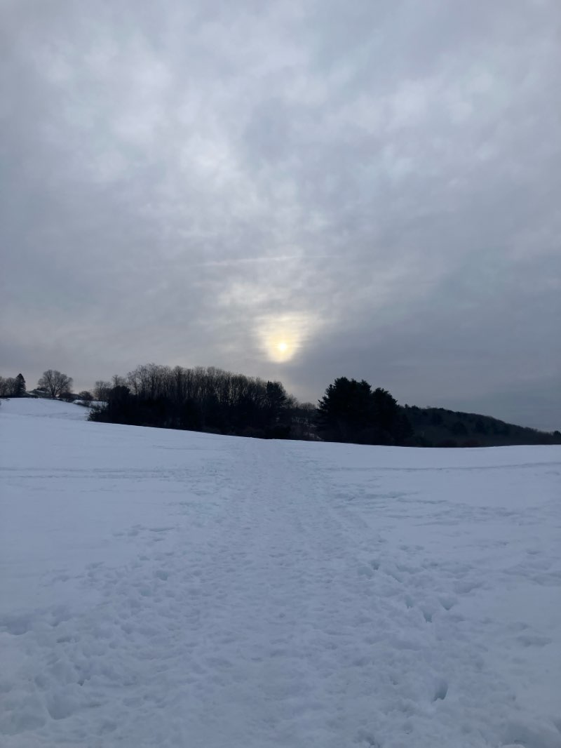 walking near me in Woodsom Farm North in winter