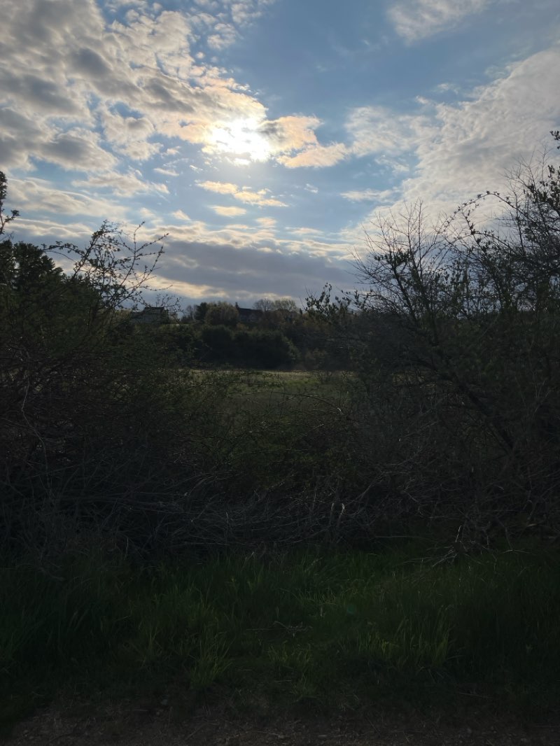walking near me in Woodsom Farm North in spring