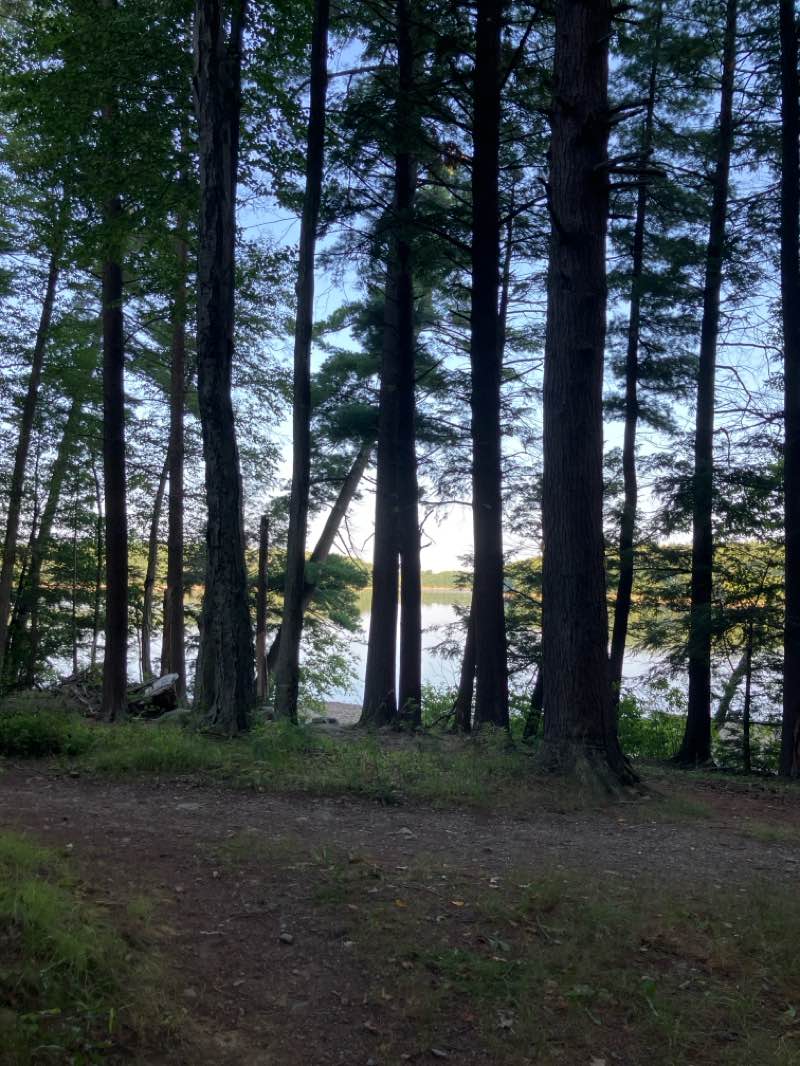 walking near me in Winnekenni Park in summer