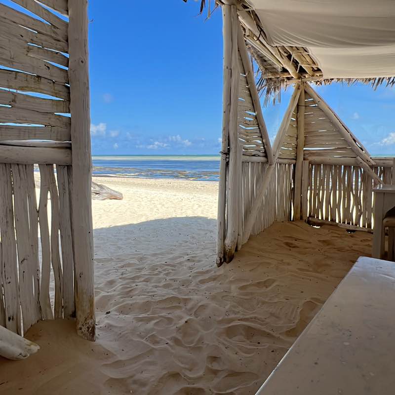 Kenyan Pacers Aby post image