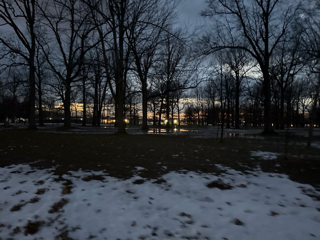 walking near me in Lincoln Park in winter