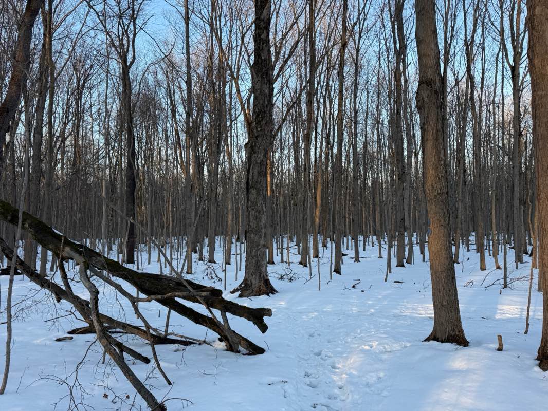 walking near me in Hunters Creek County Park in winter