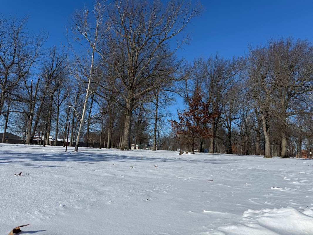 walking near me in Lincoln Park in winter