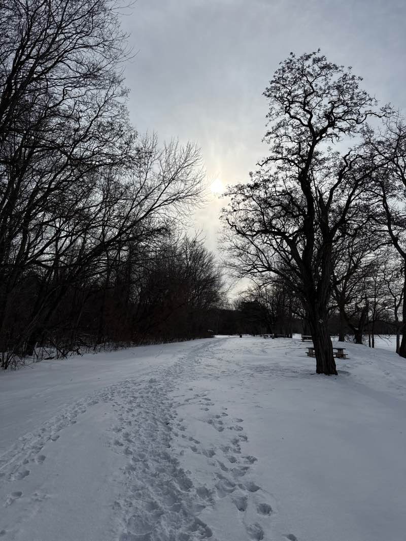 walking near me in Burmaster Park in winter