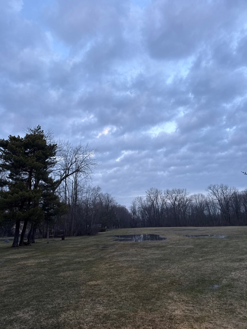 walking near me in Baisch Park in spring