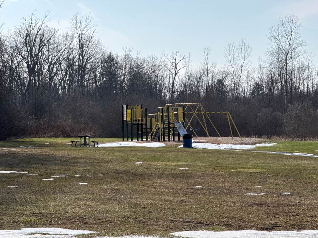 walking near me in Woods Creek Park in spring