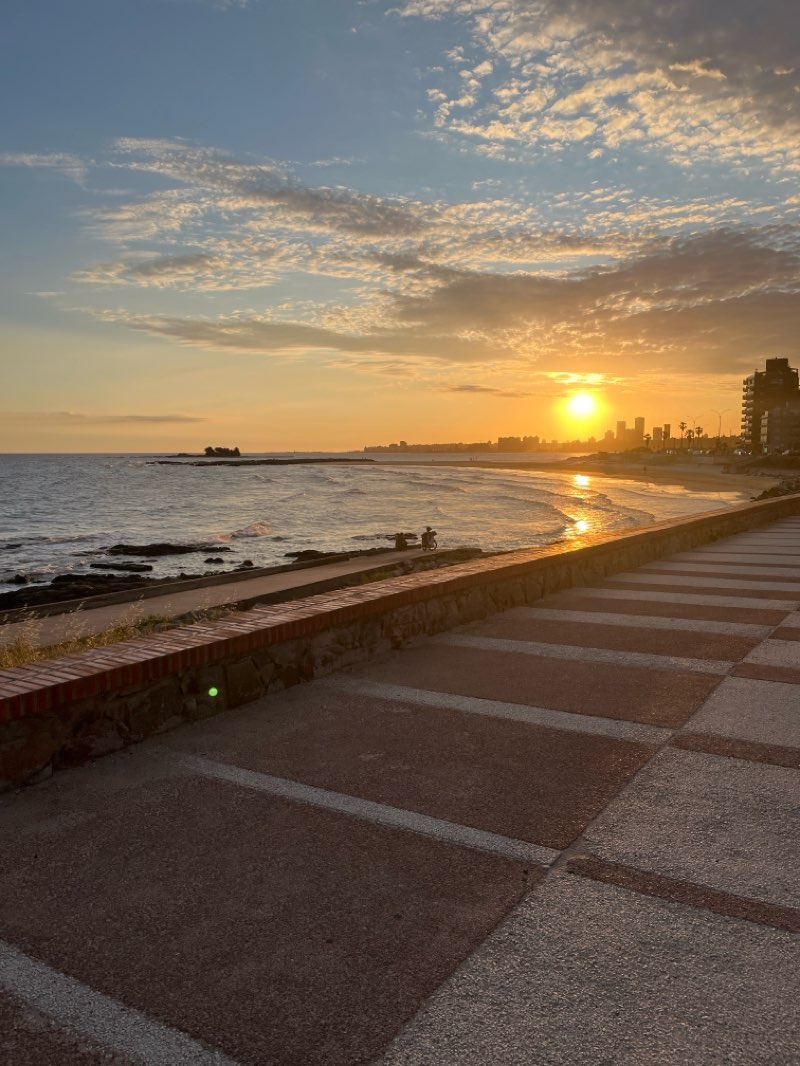 walking near me in Plaza de la Armada in spring