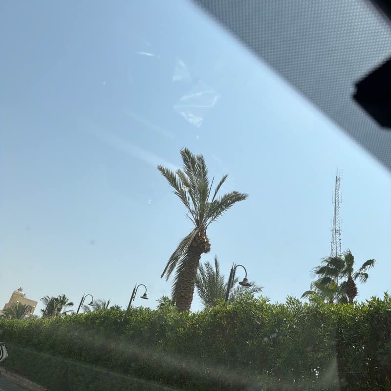 Naveed🇵🇰🇸🇦 post 1