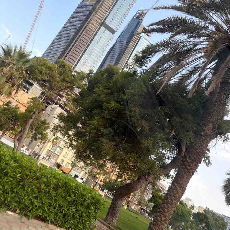 Naveed🇵🇰🇸🇦 post 1
