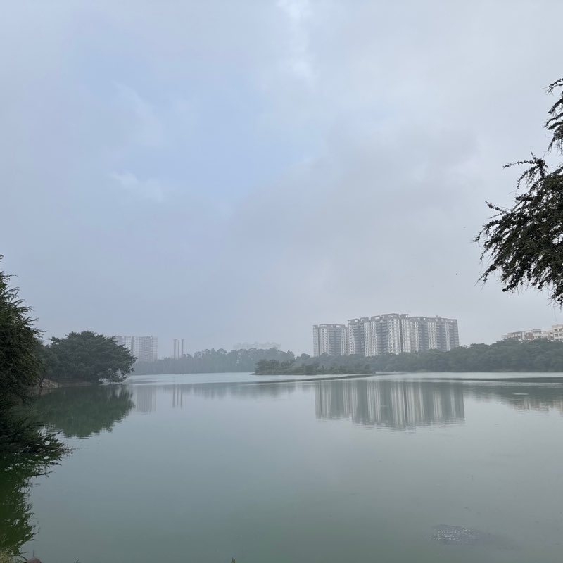 Praveen Singh post 2