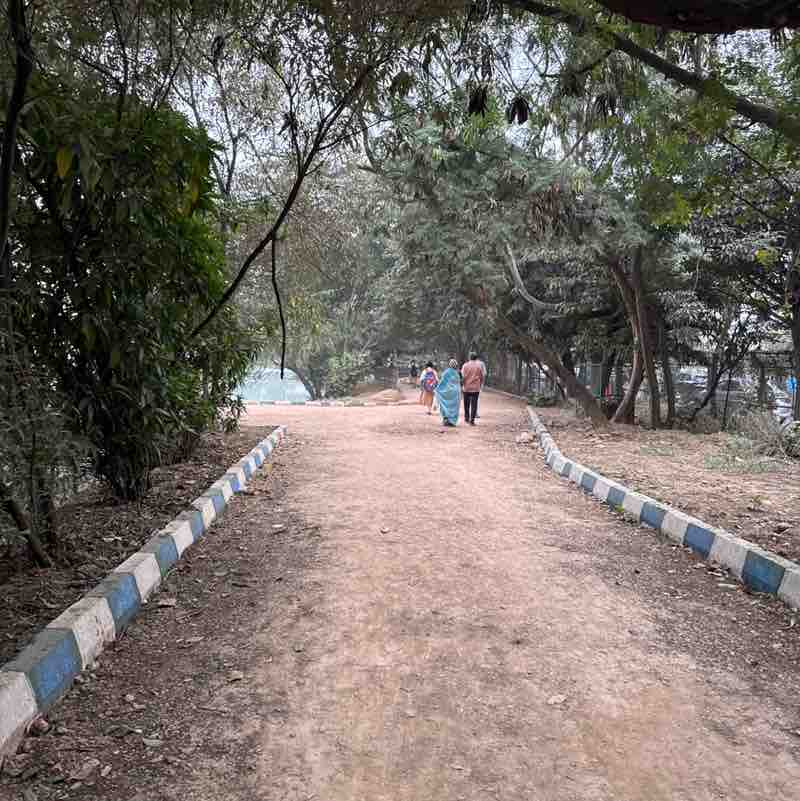 Praveen Singh post 1