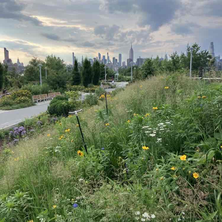 manhattanschist post 1