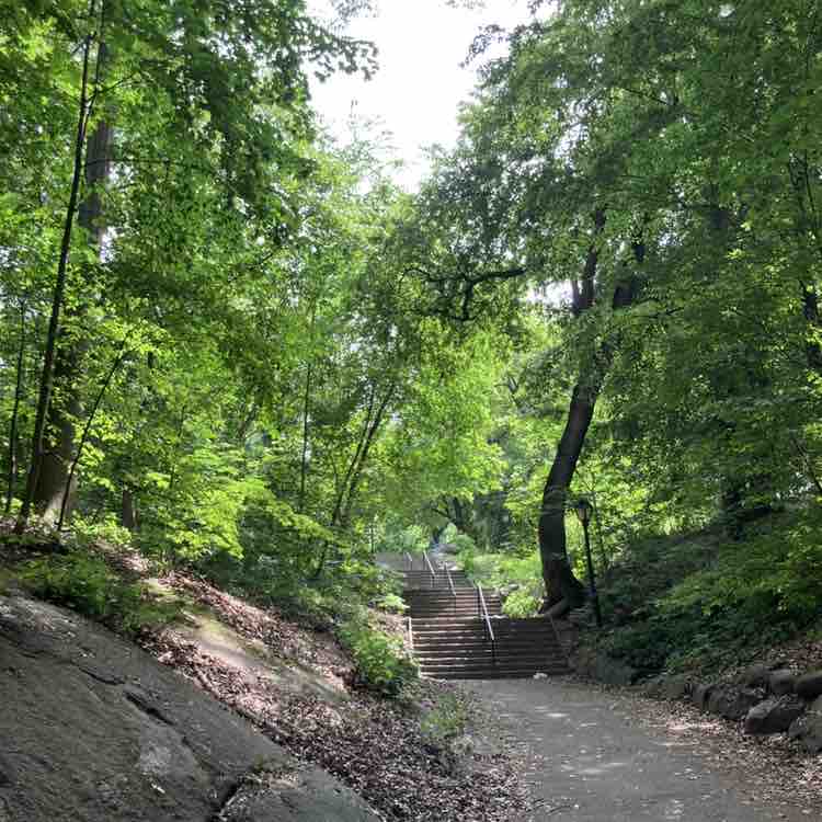 manhattanschist post 1