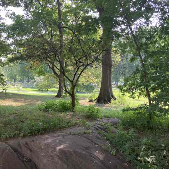 manhattanschist post 1