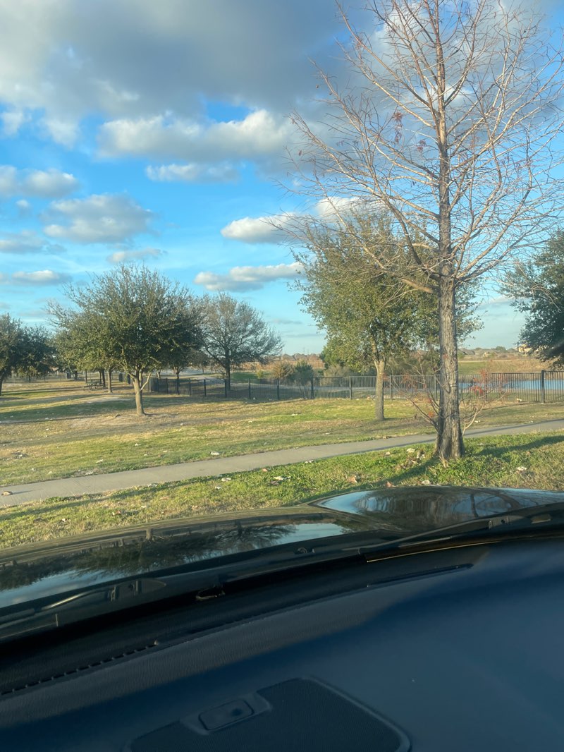 walking near me in Richard & Meg Weekley Park in winter