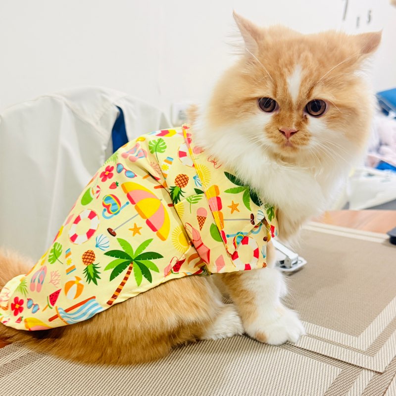 Chanida003637 profile