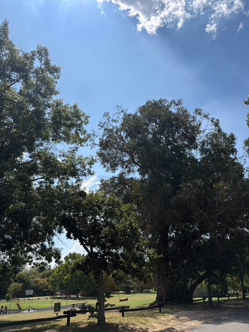 walking near me in Bryanston Park in summer