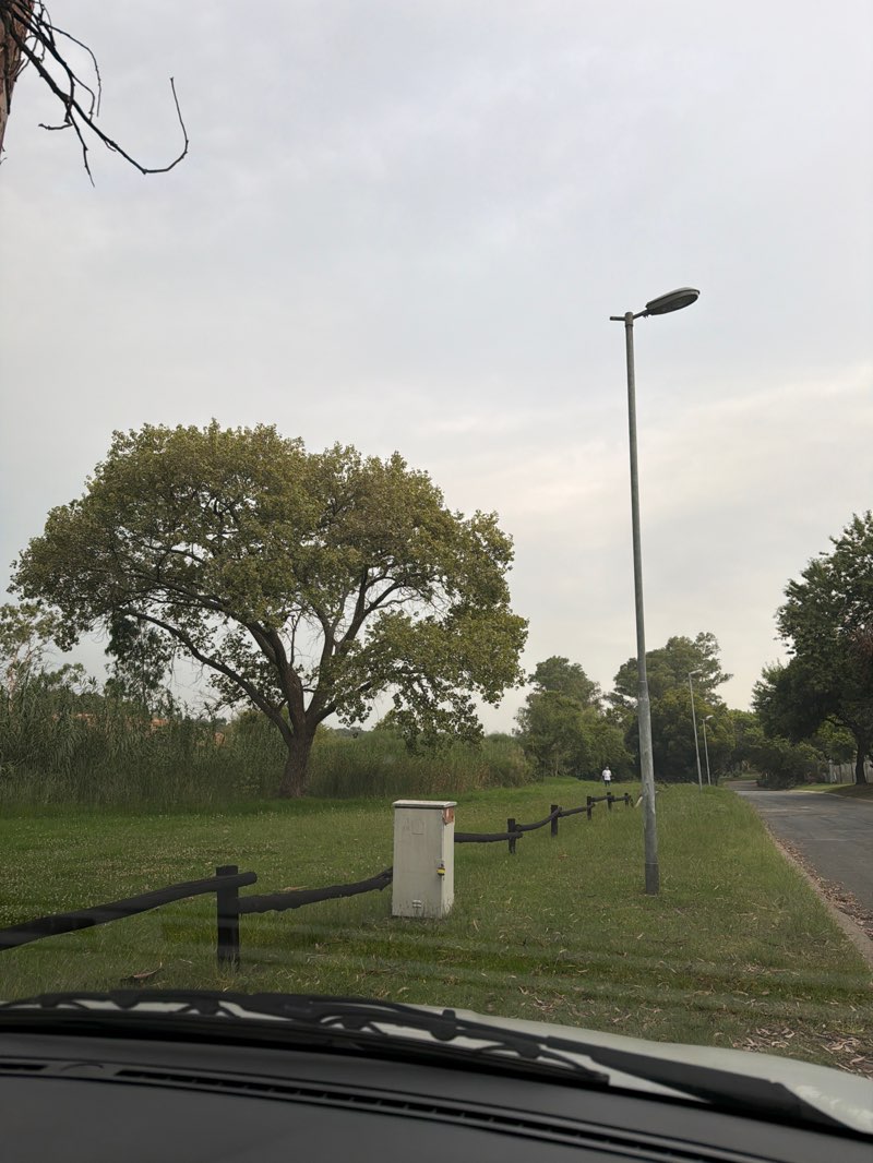 walking near me in Sundowner Park in summer
