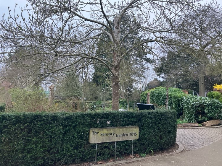 walking near me in Jephson Gardens in spring