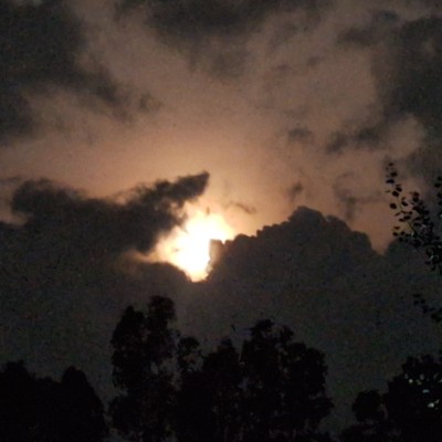 Queretaro Jose Leon Vega Paez post image
