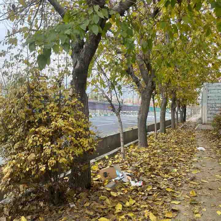 قدم شماری با حدیث💪🏻 Simin post image