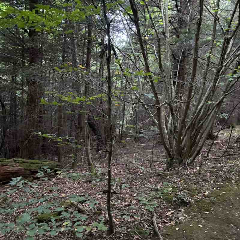 Amis Sparnaciens Mathéo post image