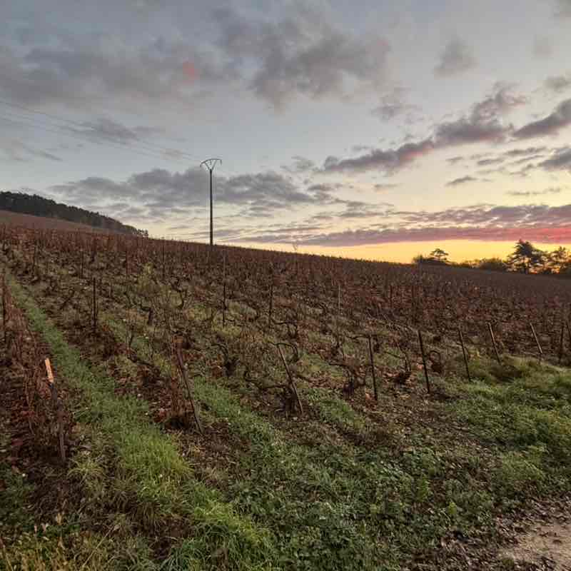 Amis Sparnaciens Mathéo post image