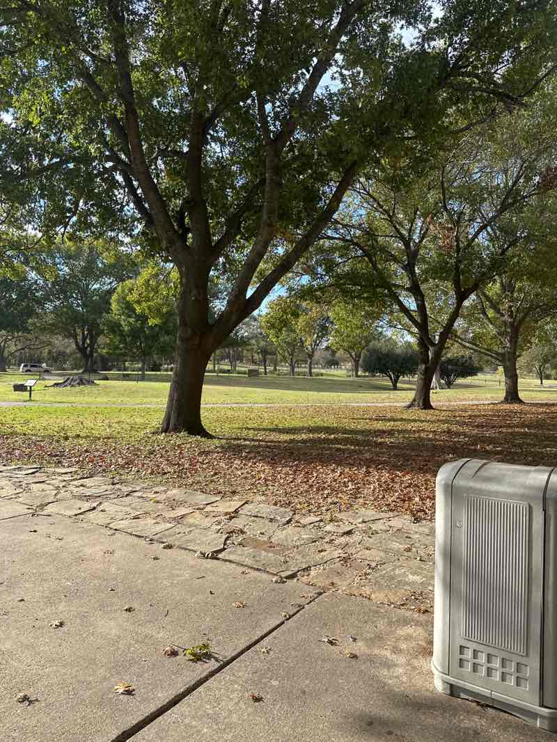 walking near me in Community Park in autumn