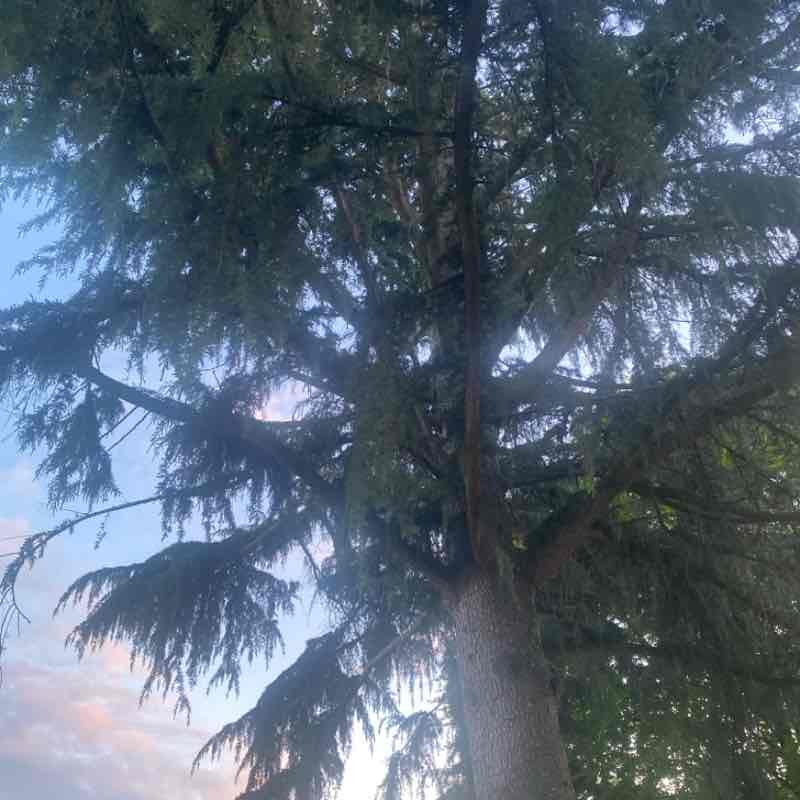 Sky (I Promise) post 2