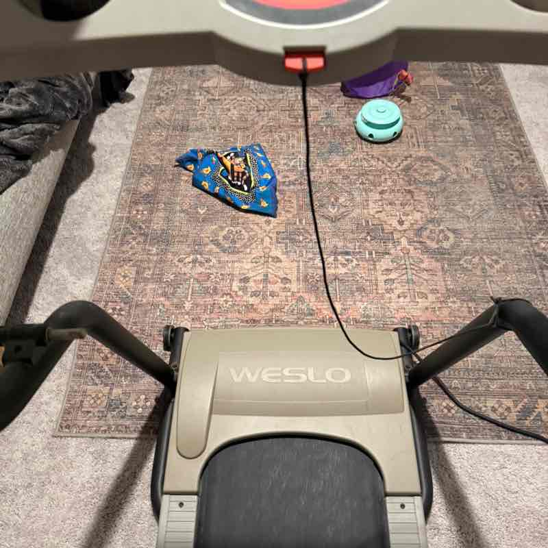 Cool Kidz Club Nikki post image