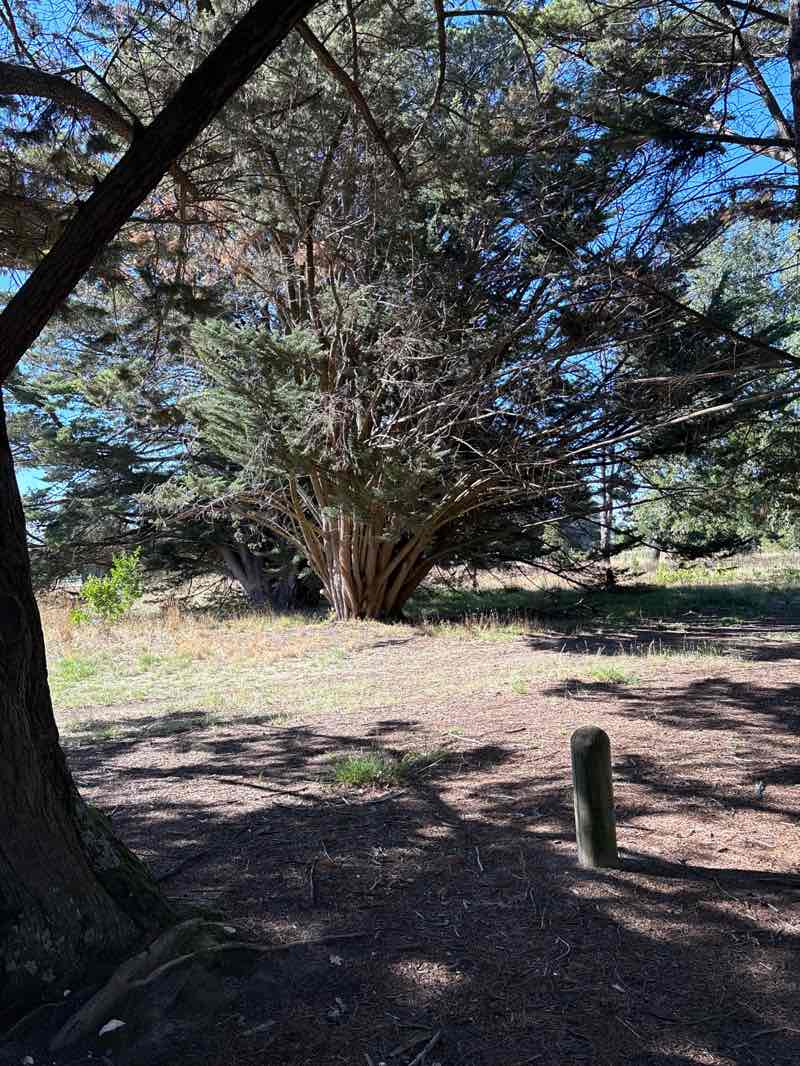 walking near me in Victoria Park in autumn
