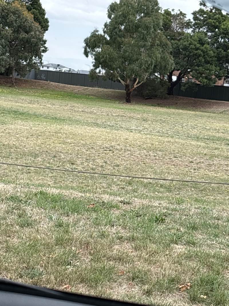 walking near me in Alfredton Drive Reserve in autumn