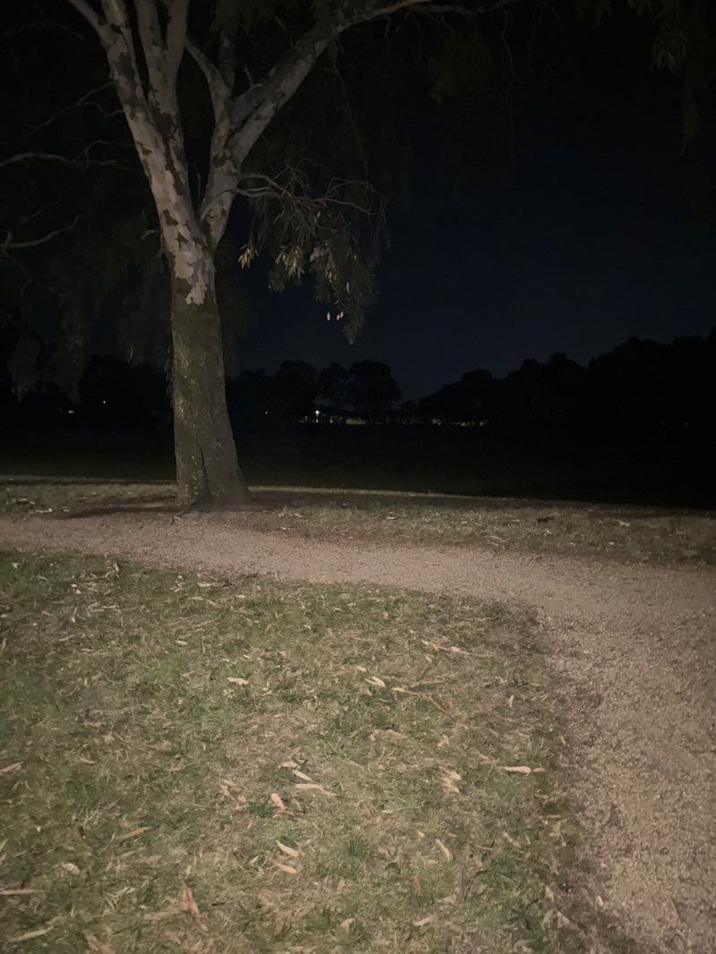 walking near me in Cuthberts Road Reserve in autumn