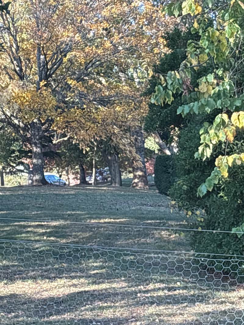 walking near me in Buninyong Botanical Gardens in autumn