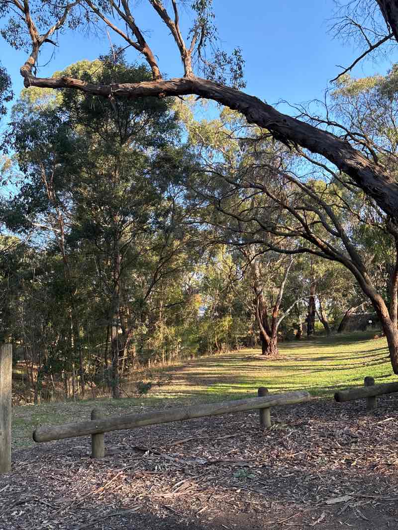 walking near me in James Reserve in autumn