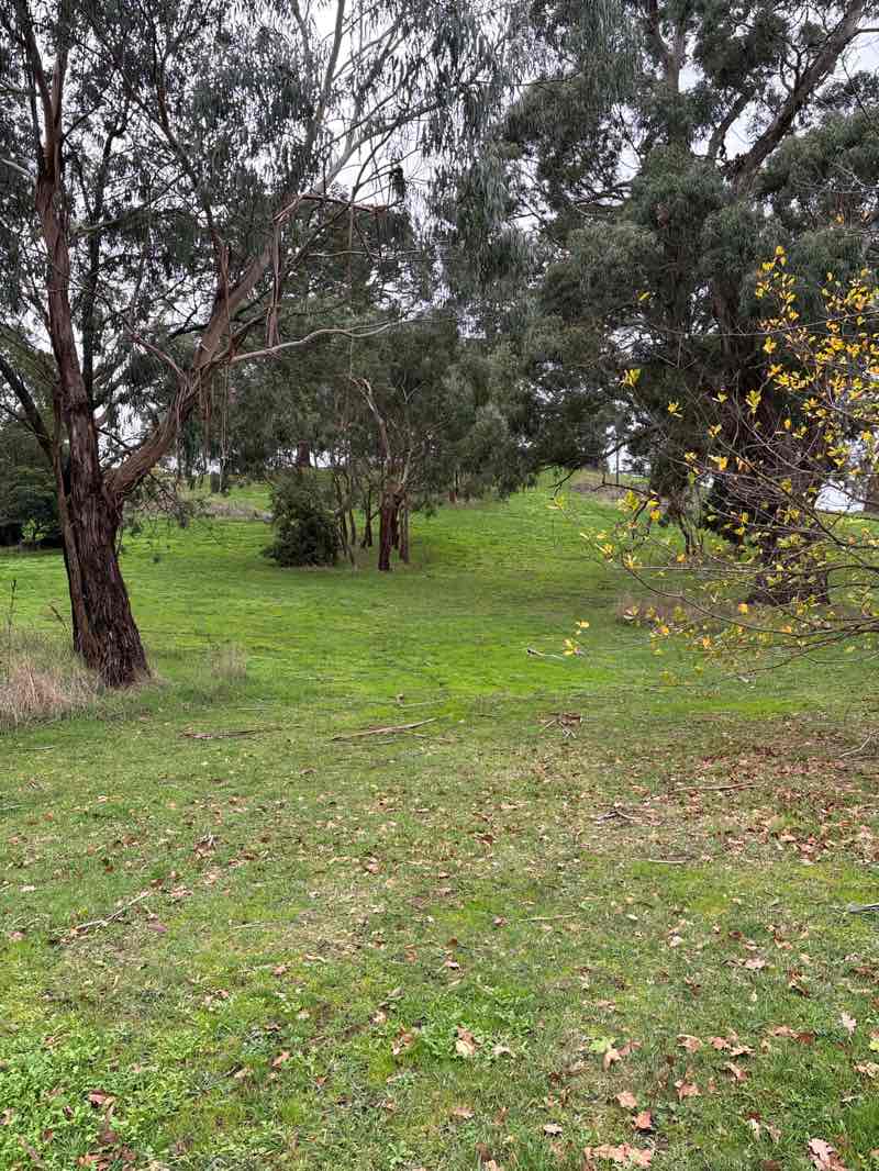 walking near me in Birdwood Park in winter
