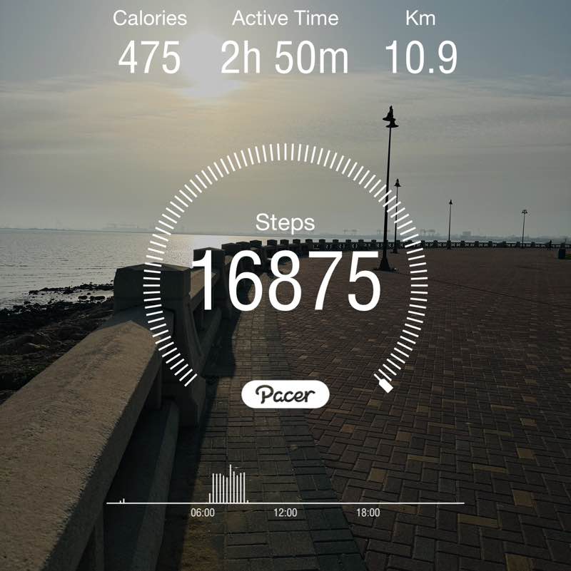 Amazing Steps💙🦜 Muhammad post image