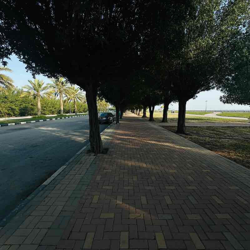 Amazing Steps💙🦜 Muhammad post image